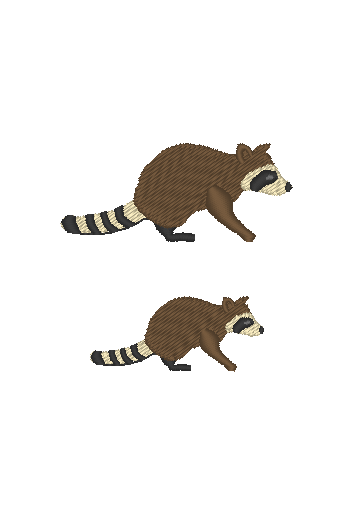 Raccoon Raccoon