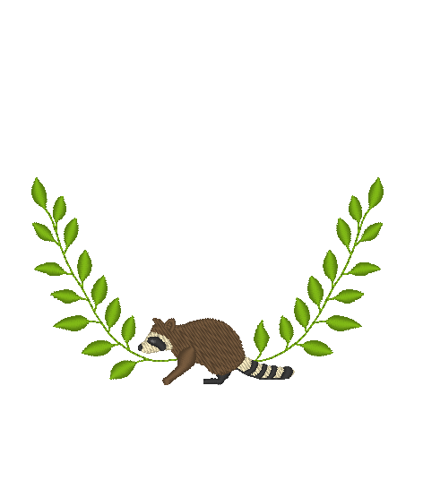 Raccoon Raccoon