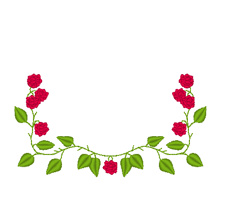 Raspberry Vine Raspberry Vine