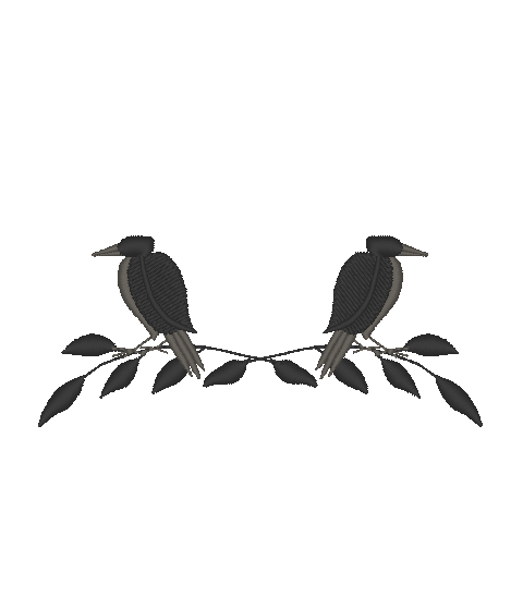 Feathers and Frights Feathers and Frights
