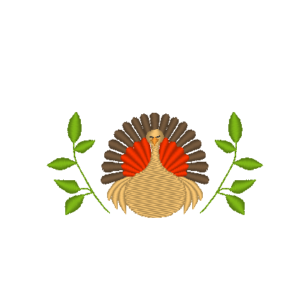 Turkey Time Turkey Time