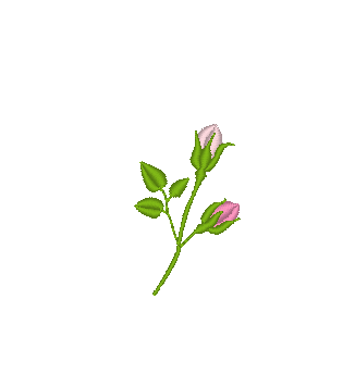 Rosebud Bouquet Rosebud Bouquet