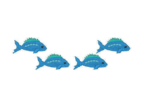 School of Fish School of Fish