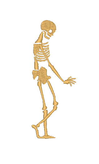 Skeleton Skeleton