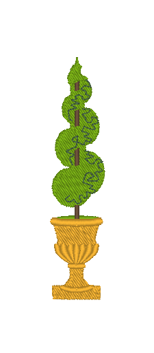 Spiral Topiary Trees Spiral Topiary Trees