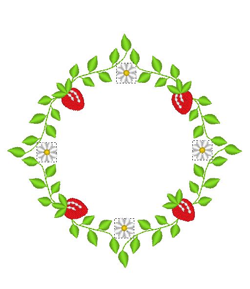 Strawberry Vine Strawberry Vine