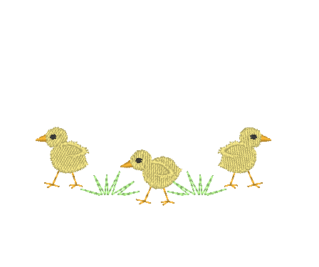 Baby Chicks Baby Chicks