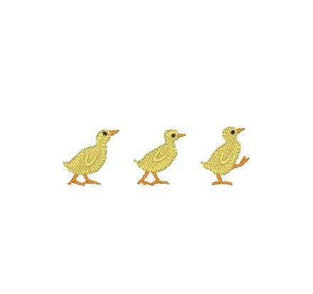 Chicks on Parade Chicks on Parade