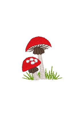 Toadstools Toadstools