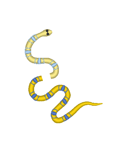 Slithering Snakes Slithering Snakes