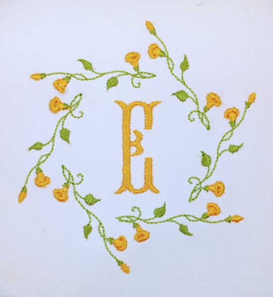 Morning Glory Vine Morning Glory Vine