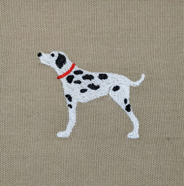 Dalmatians Dalmatians