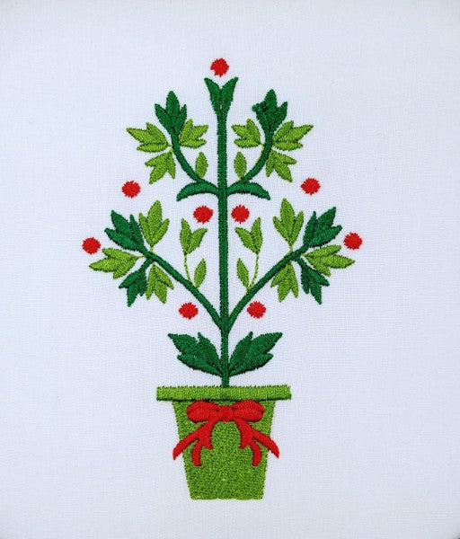 Mistletoe Tree Mistletoe Tree