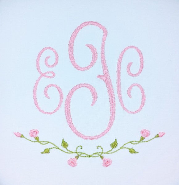 Morning Glory Vine Morning Glory Vine