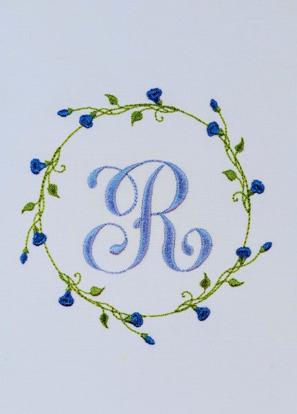 Morning Glory Vine Morning Glory Vine