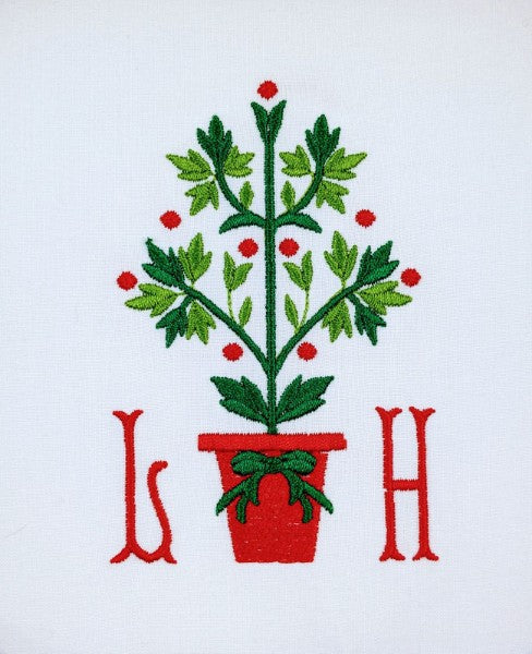 Mistletoe Tree Mistletoe Tree