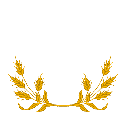 Waves of Grain Waves of Grain