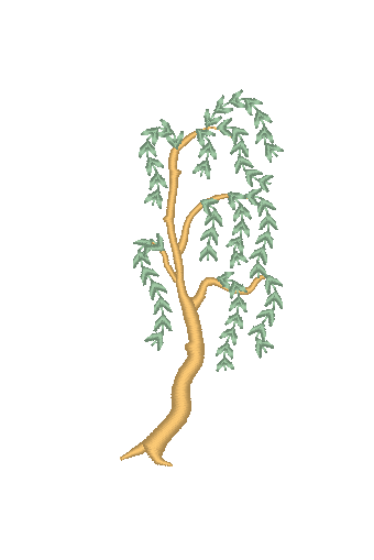 Willow Tree Willow Tree