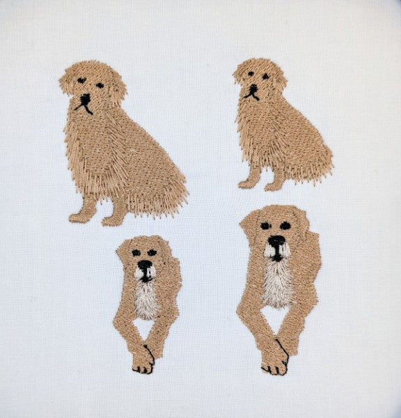 Golden Retrievers Golden Retrievers