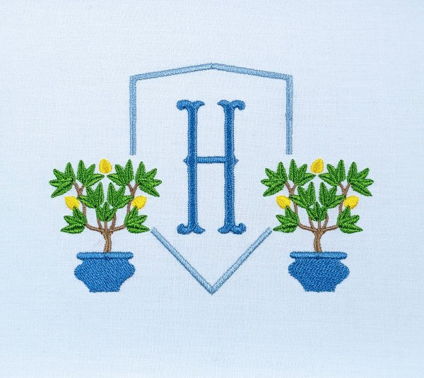 Citrus Trees in Pots Citrus Trees in Pots