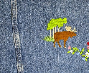 Moose on the Loose Moose on the Loose