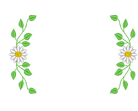 Bella Collection Bella Collection