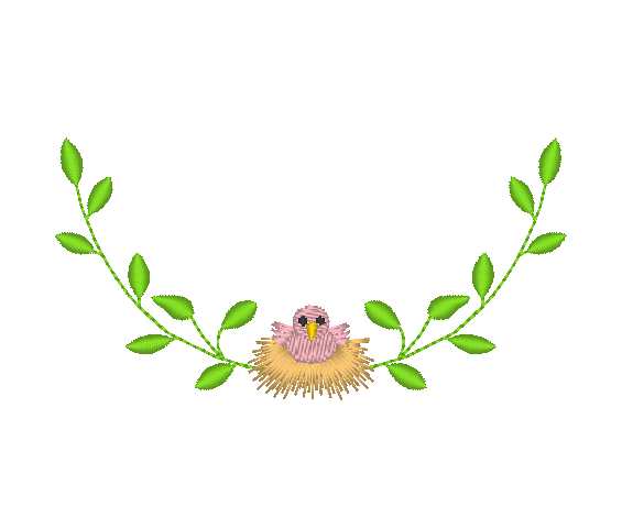 Baby Birds Collection Baby Birds Collection