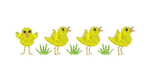 Baby Birds Collection Baby Birds Collection