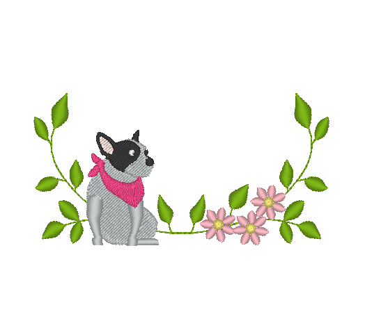 French Bulldog French Bulldog