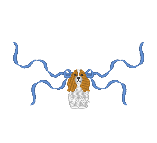 Cavalier Spaniel Cavalier Spaniel