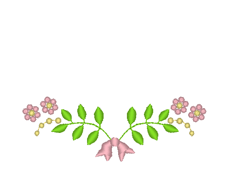 Charlotte Collection Charlotte Collection