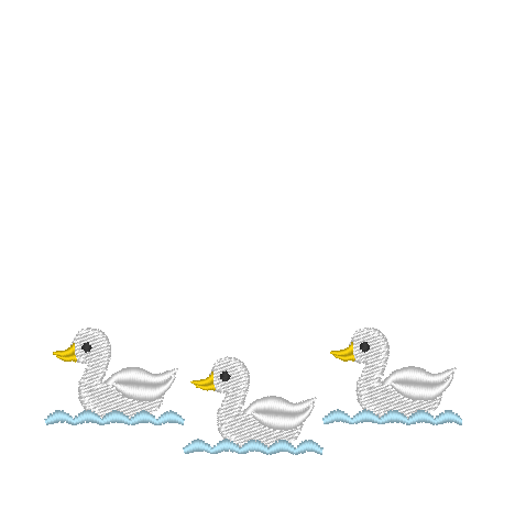 Ducklings Swimming Ducklings Swimming