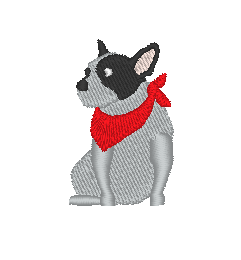 French Bulldog French Bulldog