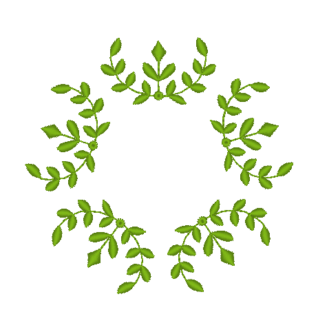 Leaf Bower Leaf Bower