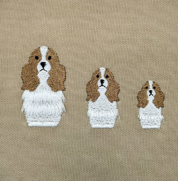 Cavalier Spaniel Cavalier Spaniel