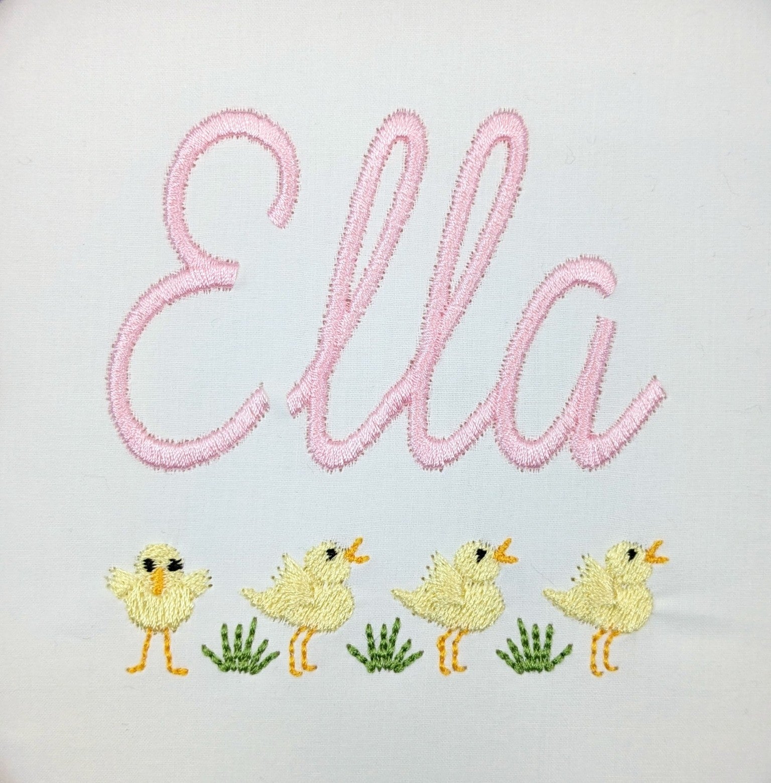 Baby Birds Collection Baby Birds Collection