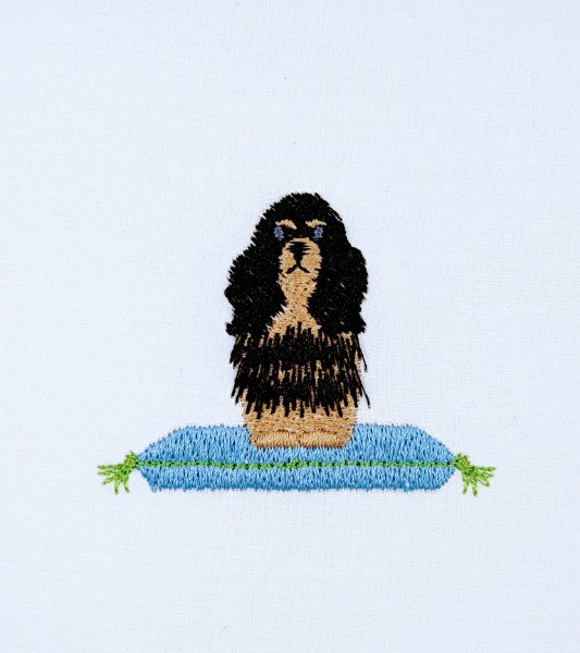 Cavalier Spaniels- Black & Tan Cavalier Spaniels- Black & Tan