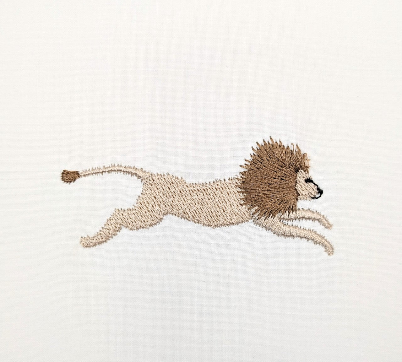 Dandy-Lion Dandy-Lion