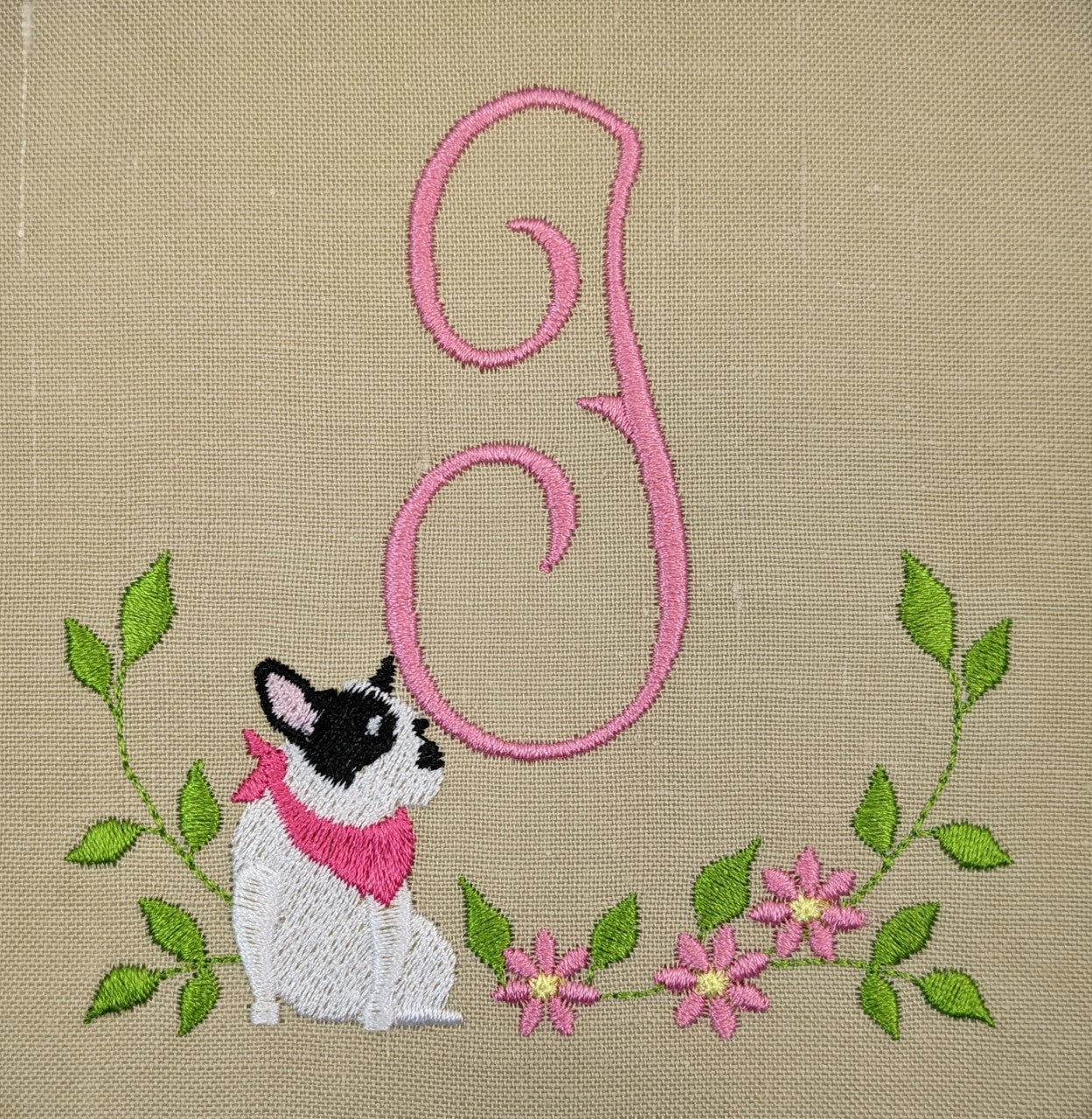 French Bulldog French Bulldog