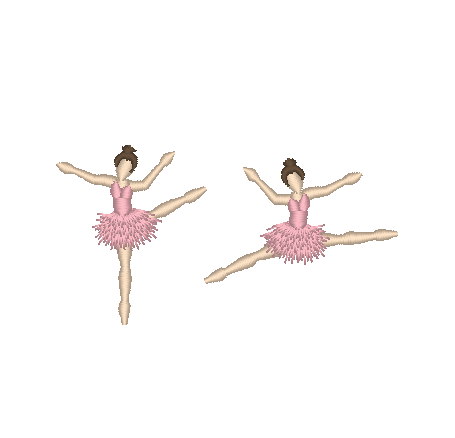 At the Ballet