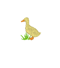Duck - Tiny