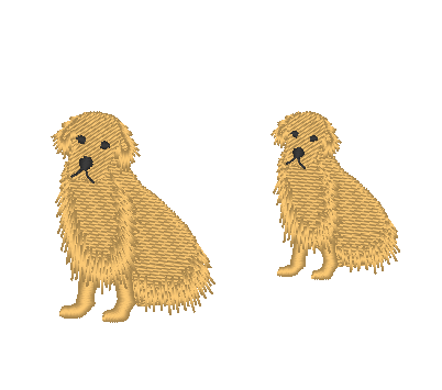 Golden Retrievers