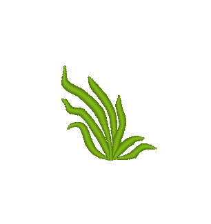 Dinosaur Stegosaur