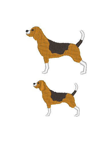 Beagle