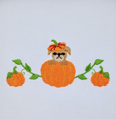 Puppy in a Pumpkin