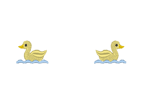 Ducklings Swimming