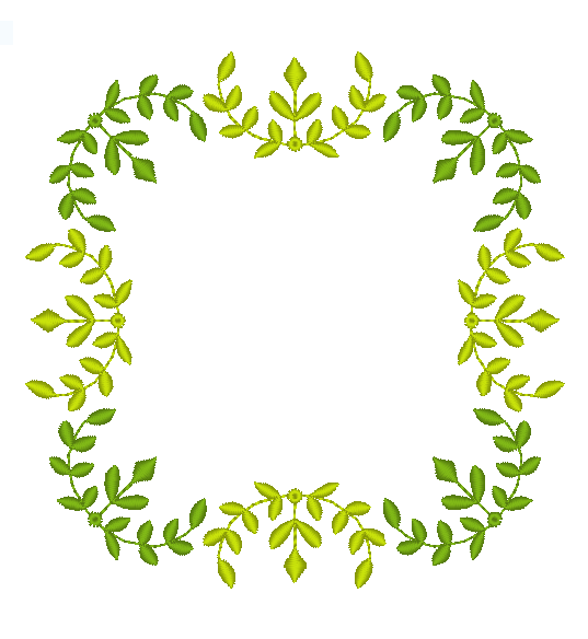 Leaf Bower