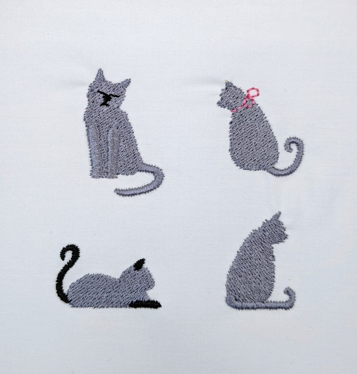Cat Collection
